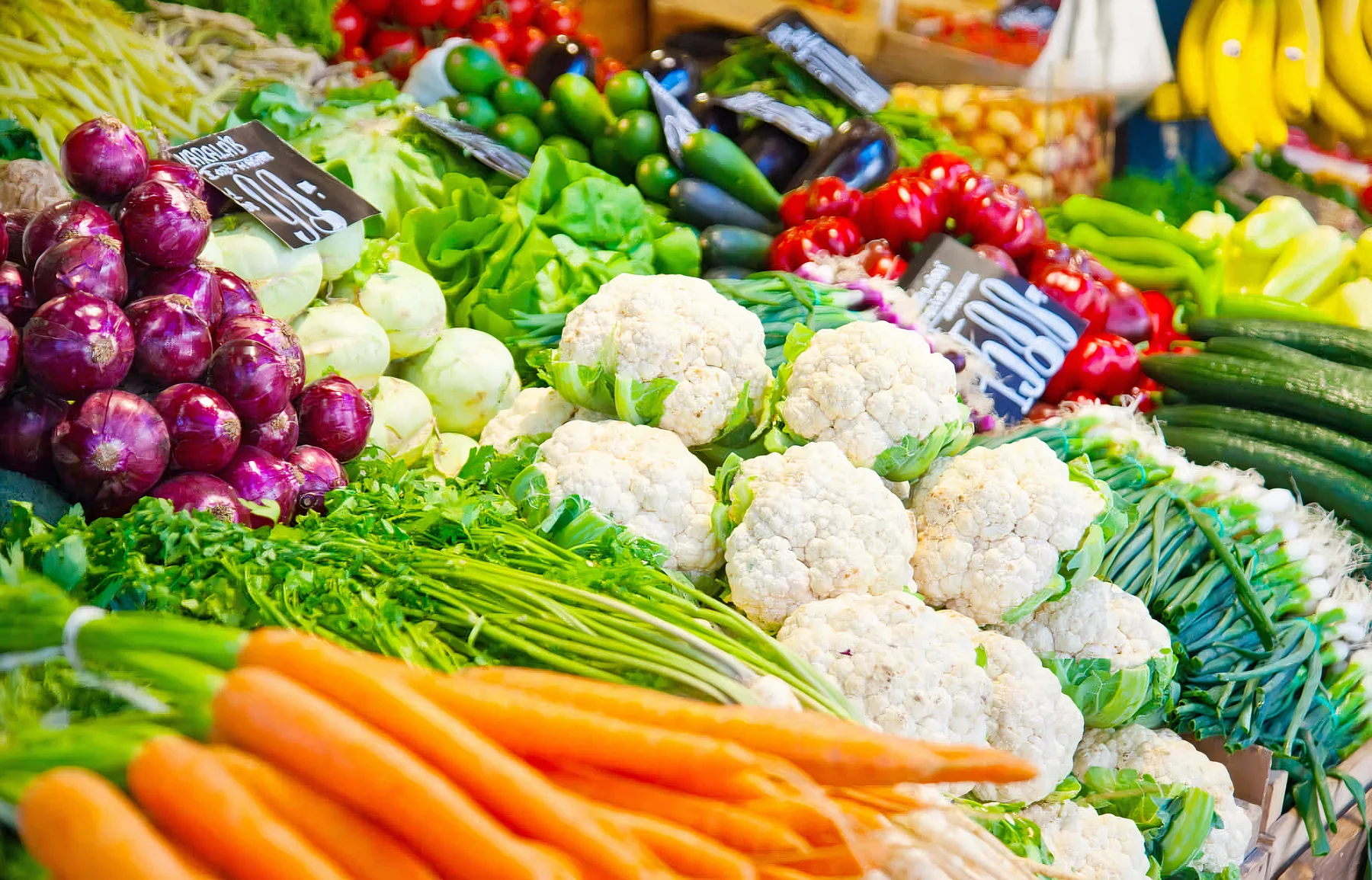 VAMSA Agri Fresh Produce Harvest