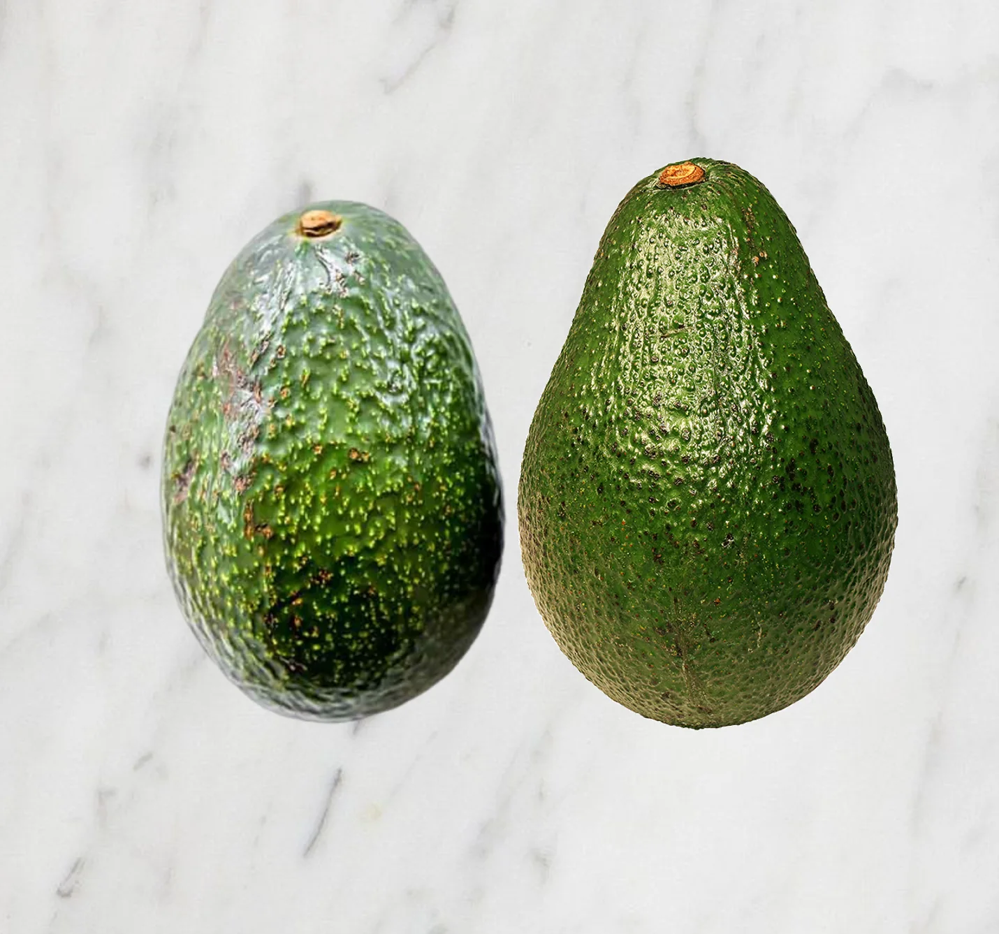 Avocado shown with VAMSA Fresh Keeper