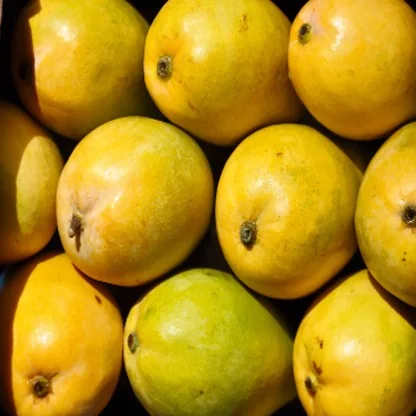Mango without Fresh Keeper
